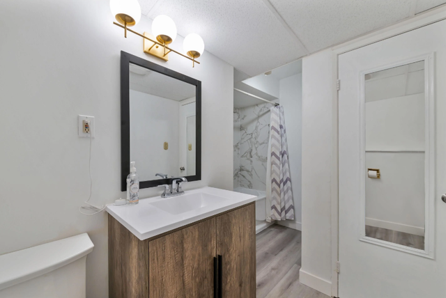 Stunning Bright 2-3 Bed Above-Ground Home/Private Entry/ Central in Long Term Rentals in Tricities/Pitt/Maple - Image 9