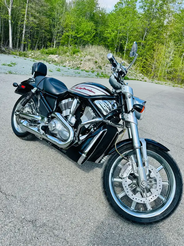 Harley Davidson V Rod Street  2006 in Sport Touring in Laurentides - Image 2