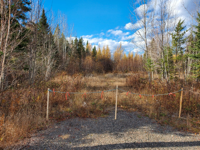 3.7 acres land, outside the city limits in Land for Sale in Bathurst - Image 2