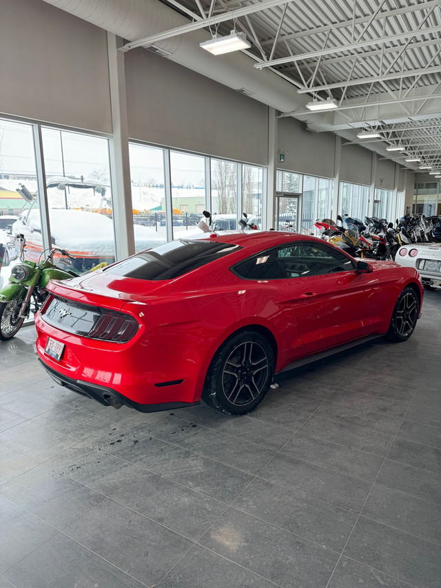2019 Ford Mustang EcoBoost Fastback in Cars & Trucks in Calgary - Image 3