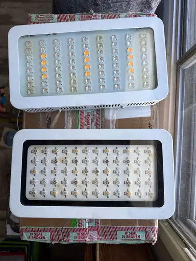 150 for both LED plant lights. Pickup only.