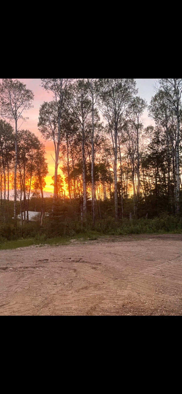 Hudson Bay, SK, Cabin, at Little Swan River, titled lot. Land for