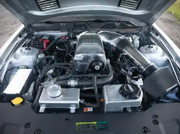 2010 Shelby GT50062863215881857123
