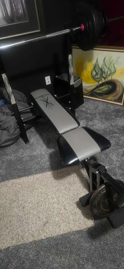 Competitor Weight bench bar and weights, View more