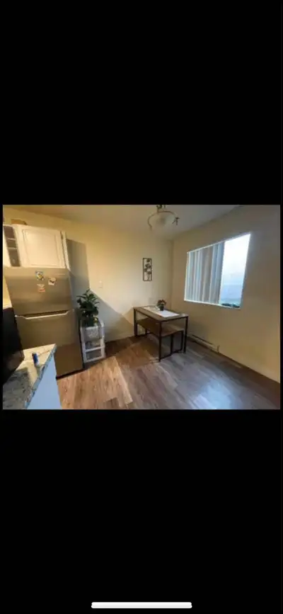A fully furnished private bedroom is available for rent from June 1st in the Hillside area, shared w...