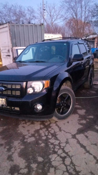 2009 Ford Escape XLT AWD Certified 