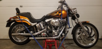 2001 Harley Davidson Duece FXSTDI