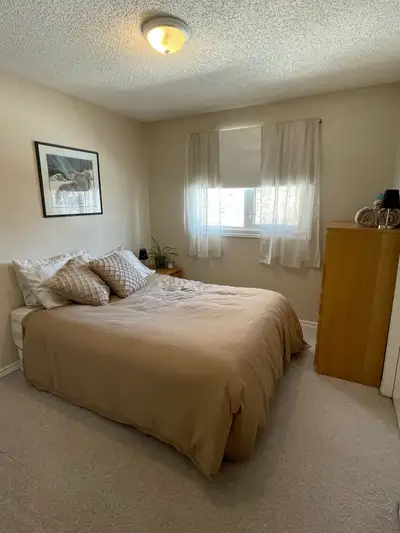 Beautiful Room Available in Great Area- Single Occupancy Only