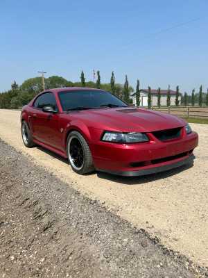 1999 Ford Mustang GT