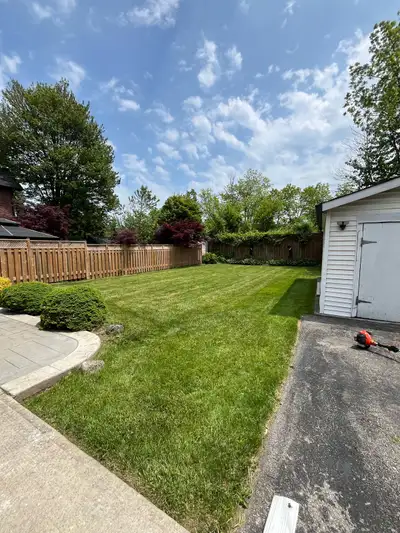 Summer Yard!, View more