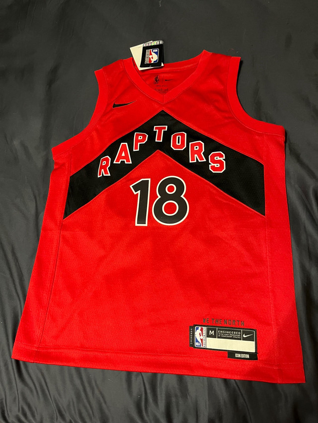 Toronto Raptors Youth Jerseys  in Kids & Youth in Chatham-Kent - Image 3
