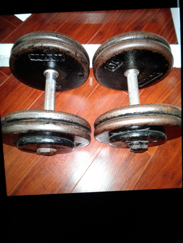 Pair of 48 lbs commercial welded dumbbells for $110 total  in Exercise Equipment in City of Toronto - Image 2