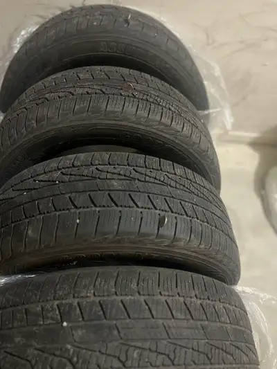 Used just 2 summer it looks like new