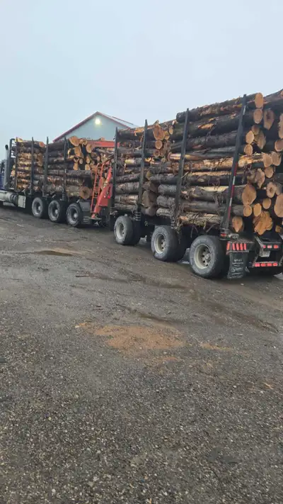 Cedar Lumber, View more