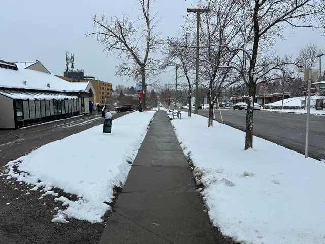 Snow removal sidewalk shovelling