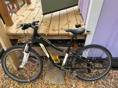 Youth Bike, 24" studded tires, View more