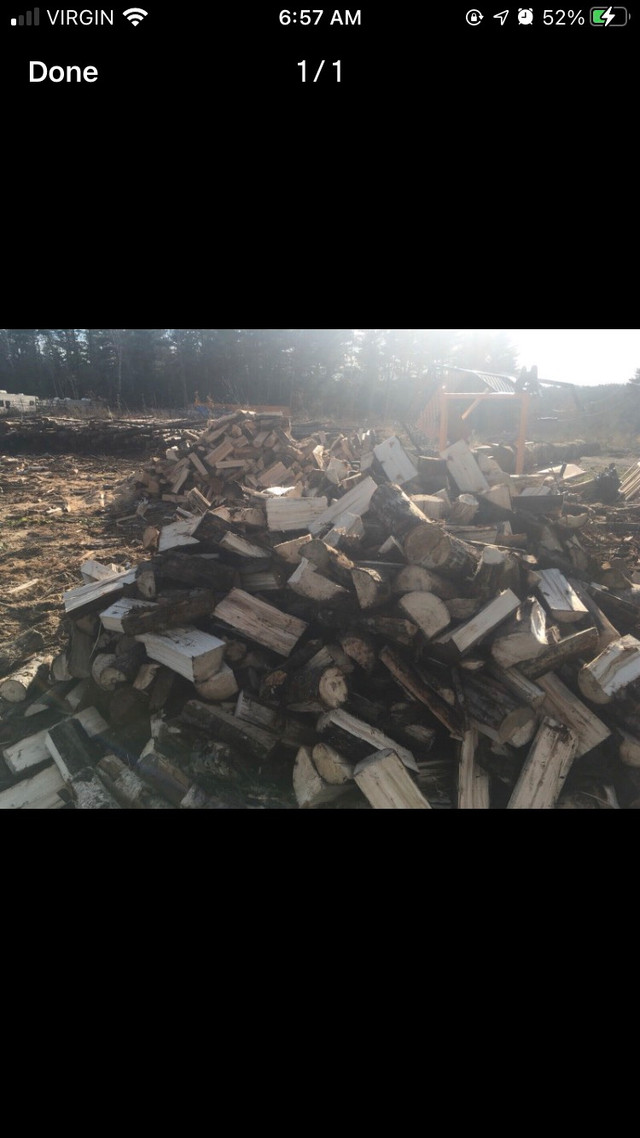 Delivered seasoned Hardwood firewood in Fireplace & Firewood in Bridgewater - Image 4
