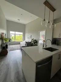 Nanaimo - 2 Bedroom 2 Bath Furnished River View Penthouse
