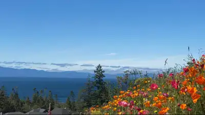 Suite Rental, View more