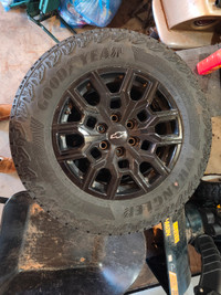 Goodyear Wrangler tires on rims