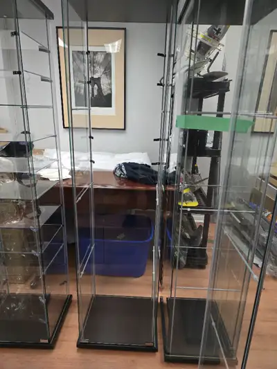 Please read this ad carefully. This listing is for additional shelves for your Ikea Detolf unit. It...