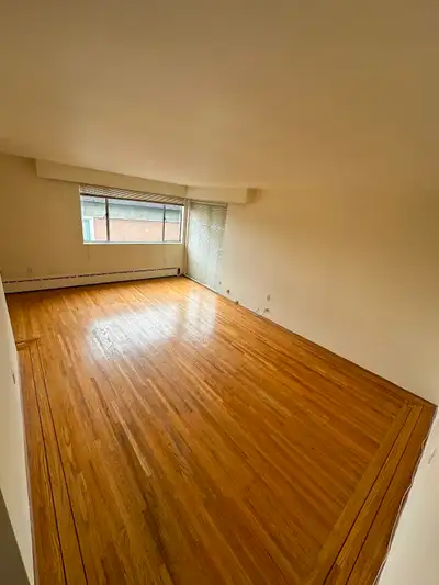 1 bedroom apartment