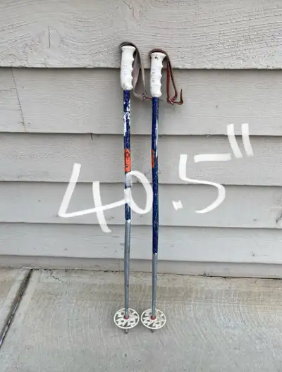 Ski Poles, View more