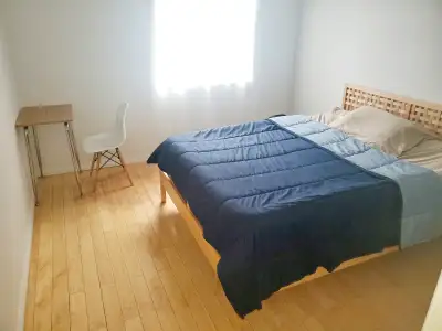 Bright Room for Student or Professional