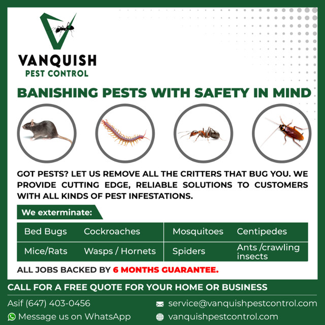 Cockroach Extermination - Bed Bug Extermination 647 - 403 - 0456 in Other in Hamilton