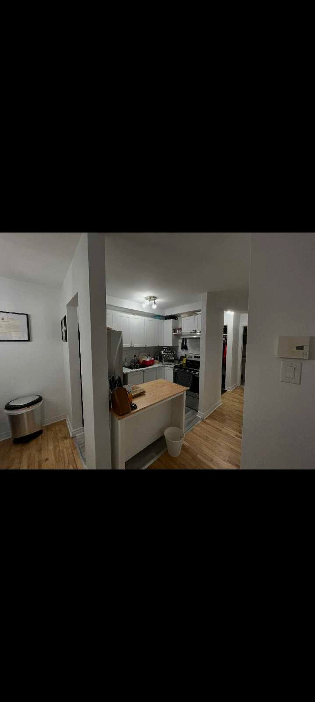 Appartement 4 1/2 colocation dans Chambres à louer et colocs  à Longueuil/Rive Sud