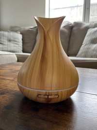 Essential Oil Diffuser and Humidifier 