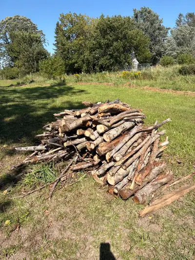 firewood for free, View more