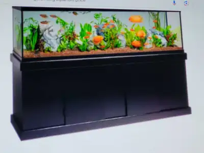 wanted 40 gallon Long aquarium, View more