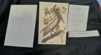 Brown Pelican Reproduction by Crane & Co Cards & envelopes