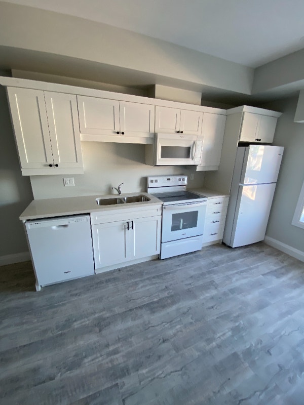 1 onebedroom and 1 bachelor apartment available in Delhi Long Term