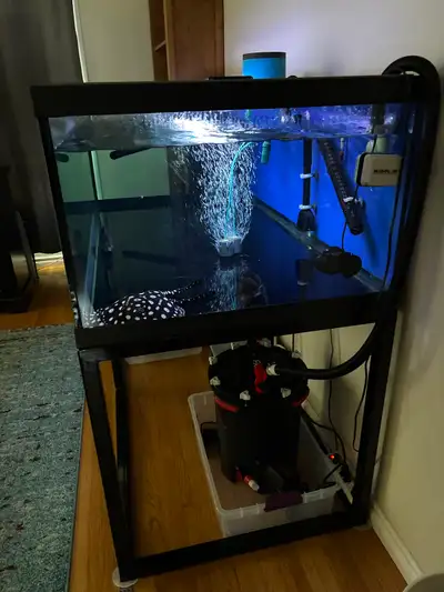 190 gallon aquarium, View more