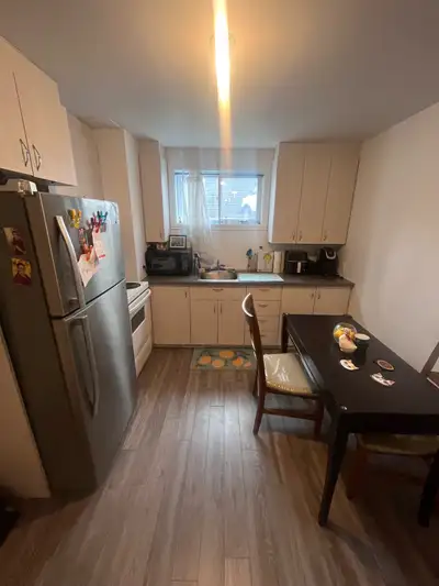 Appartement 3 1/2 a Plessisville à louer . Il a ete renové recement .Demi sous sol . Electricité et...