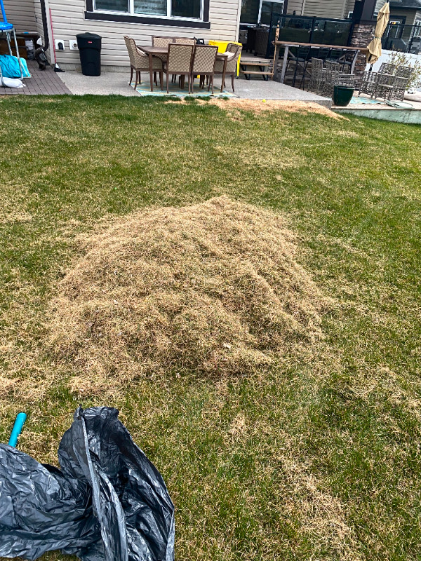 Lawn Care - Aerate and Power Rake $110 in Lawn, Tree Maintenance & Eavestrough in Calgary - Image 3