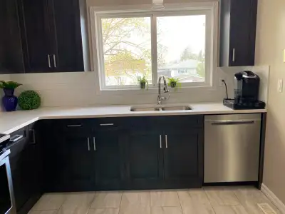 Full Service Carpenter, View more