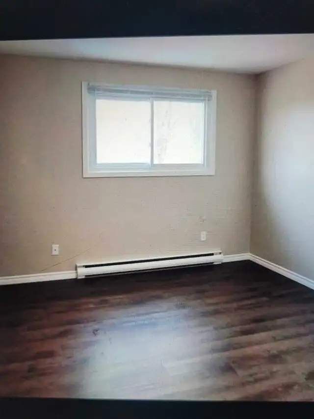 floor installation laminate / vinyl $1.25 per sq ft  special62863231538818121