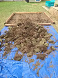 Free top soil