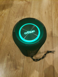 Ortizan Light Up Speaker