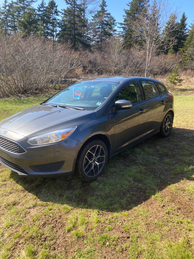 2015 ford focus (SE)