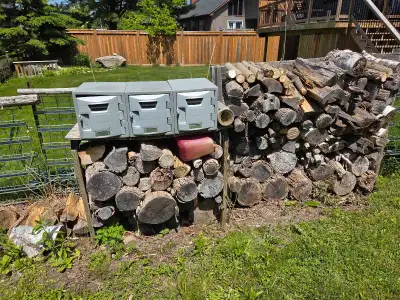 facecord firewood, View more