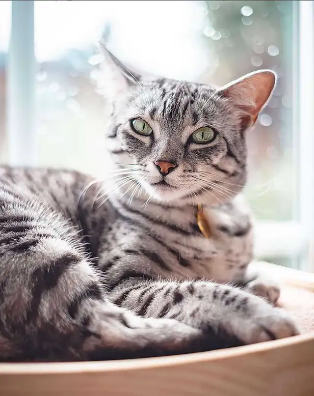 Senior with first and last needs to move in Feb 1rst!