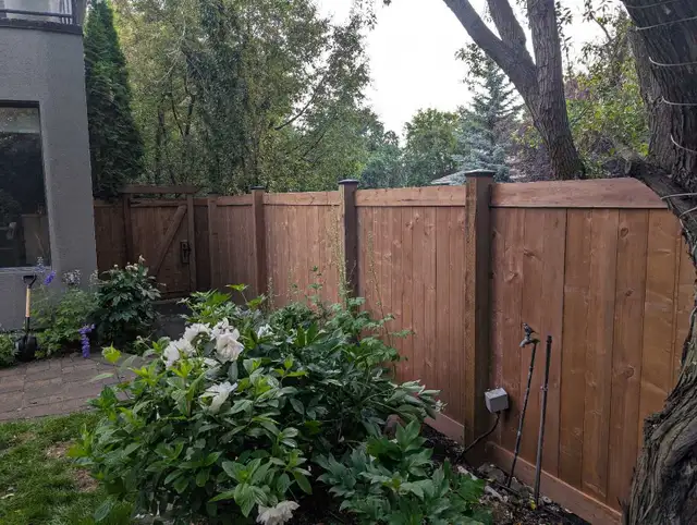 Quality fences and decks533461900292925443