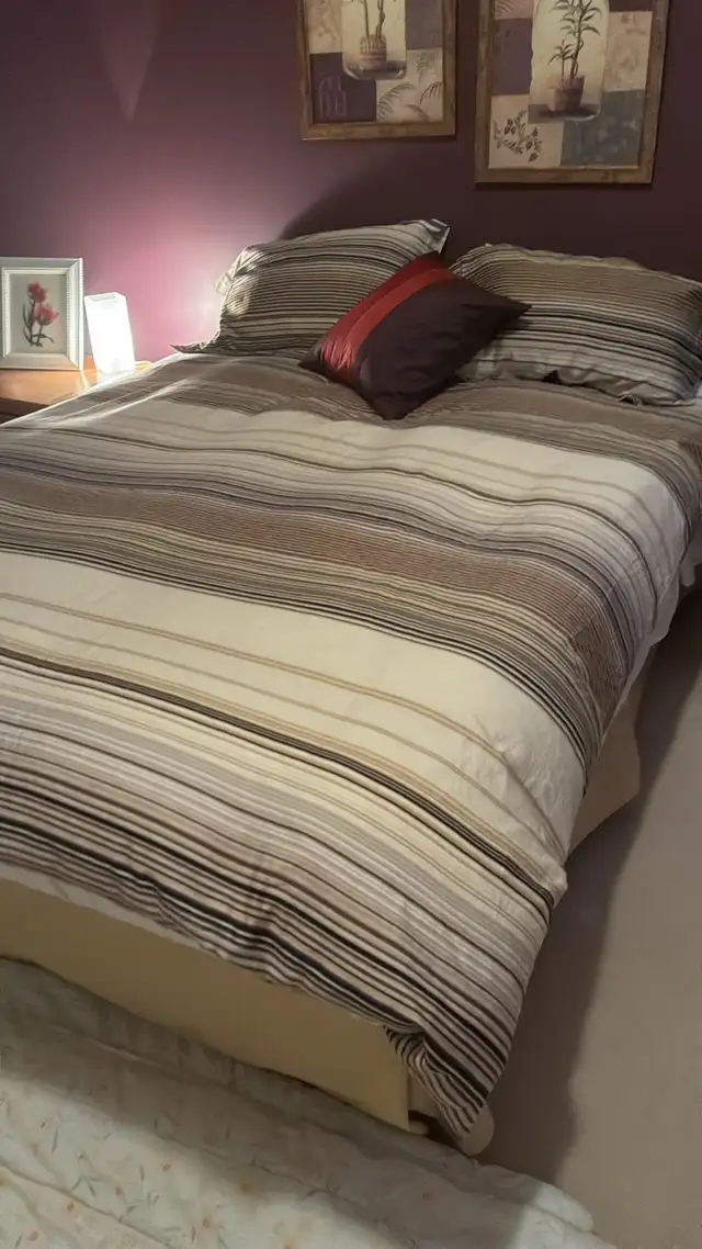Beautiful comforter for queen and double beds  in Bedding in Ottawa - Image 3