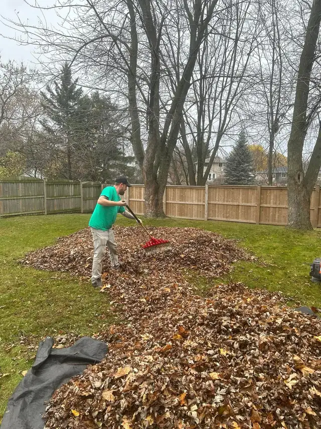 FALL CLEANUP SERVICES 595974609175193604
