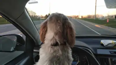 Cambridge to Revelstoke BC, View more