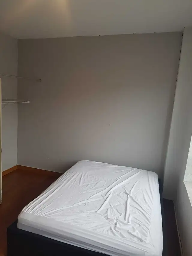 Waterloo, Laurier Student rental 5 bdrm 2 bath in Long Term Rentals in Kitchener / Waterloo - Image 11